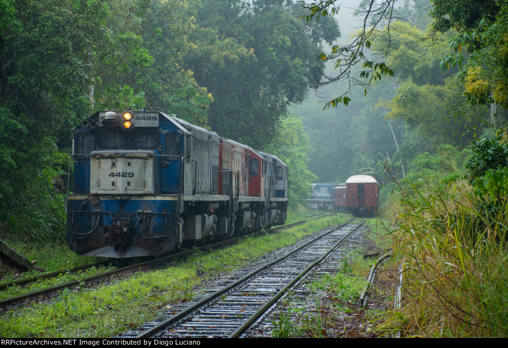 Linha São Francisco do Sul - km112